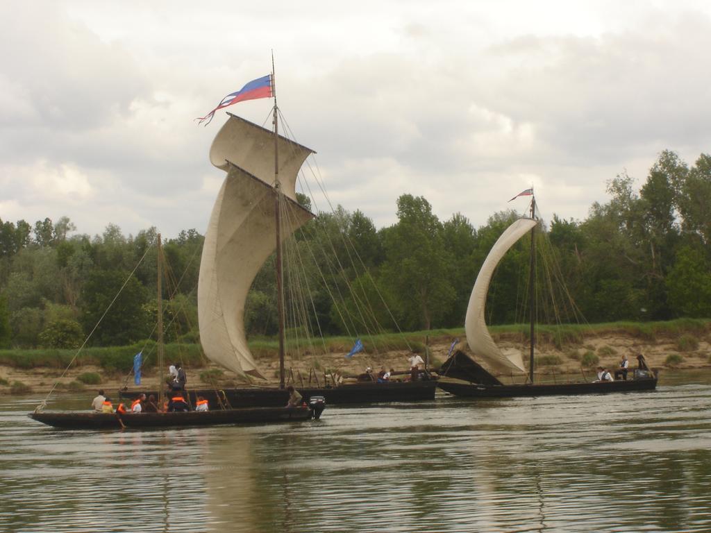 דירות Veuves Les Bords De Loire חדר תמונה