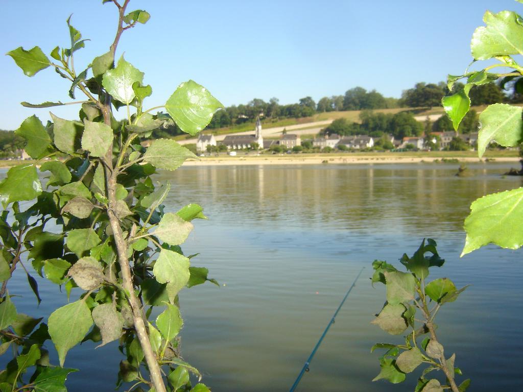 דירות Veuves Les Bords De Loire חדר תמונה